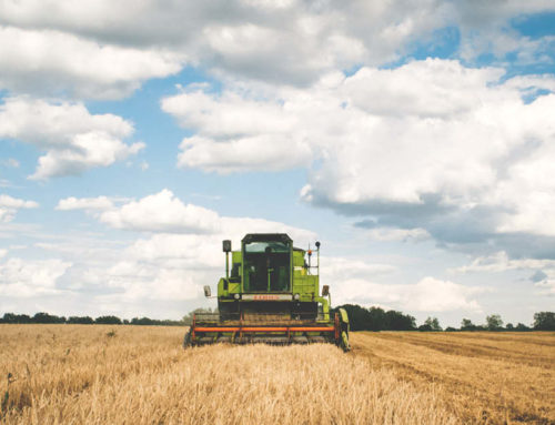 Crop InsuranceJust the Facts: The Federal Crop Insurance Program