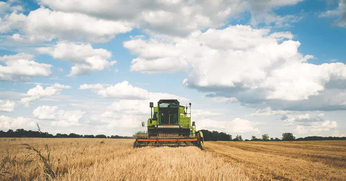 Agriculture Committees Harvesting SNAP Savings to Feed Agribusiness