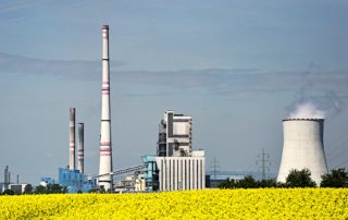 Bioenergy Program for Advanced Biofuels Fact Sheet