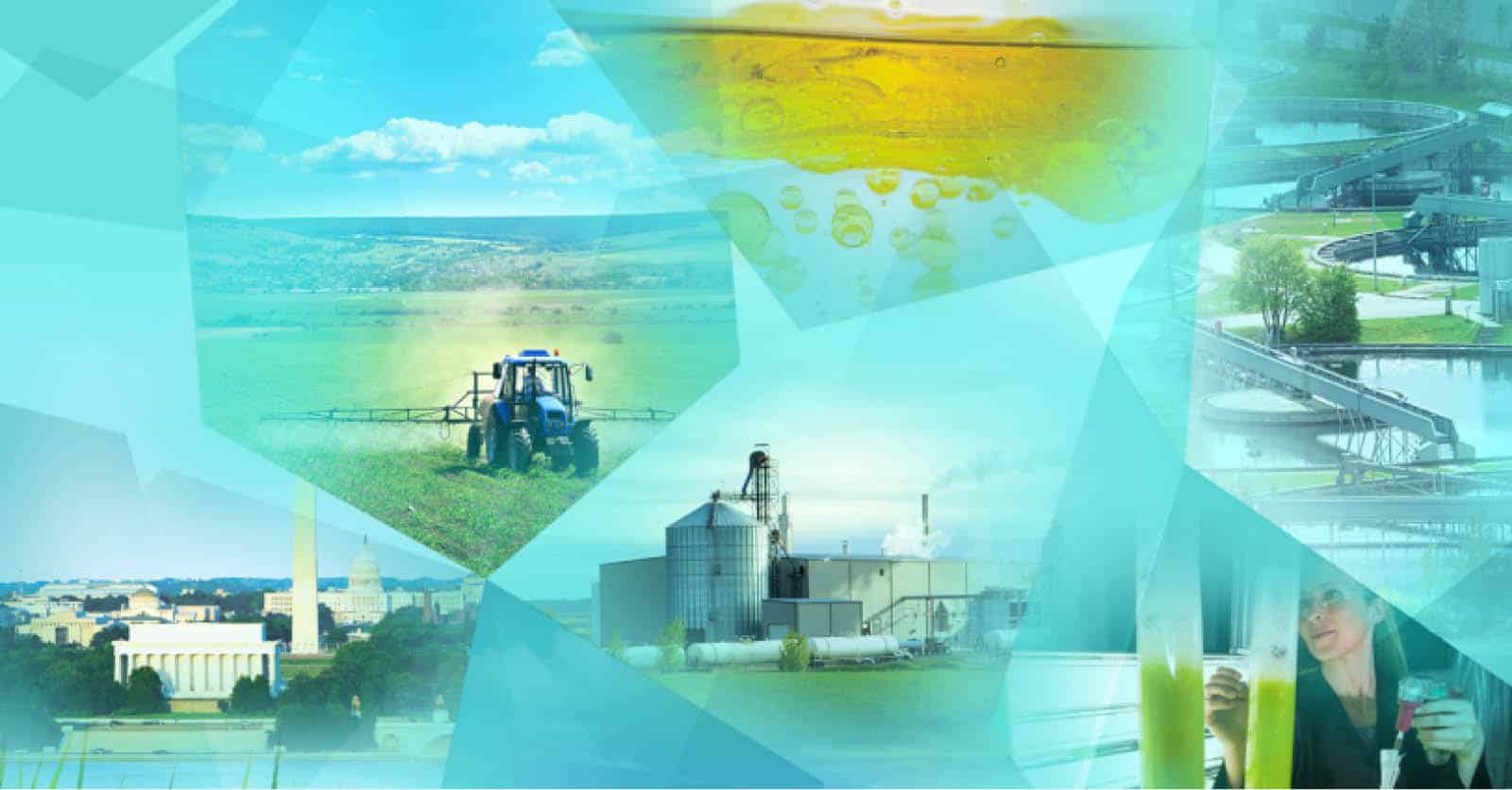 Biomass Research and Development Initiative Fact Sheet