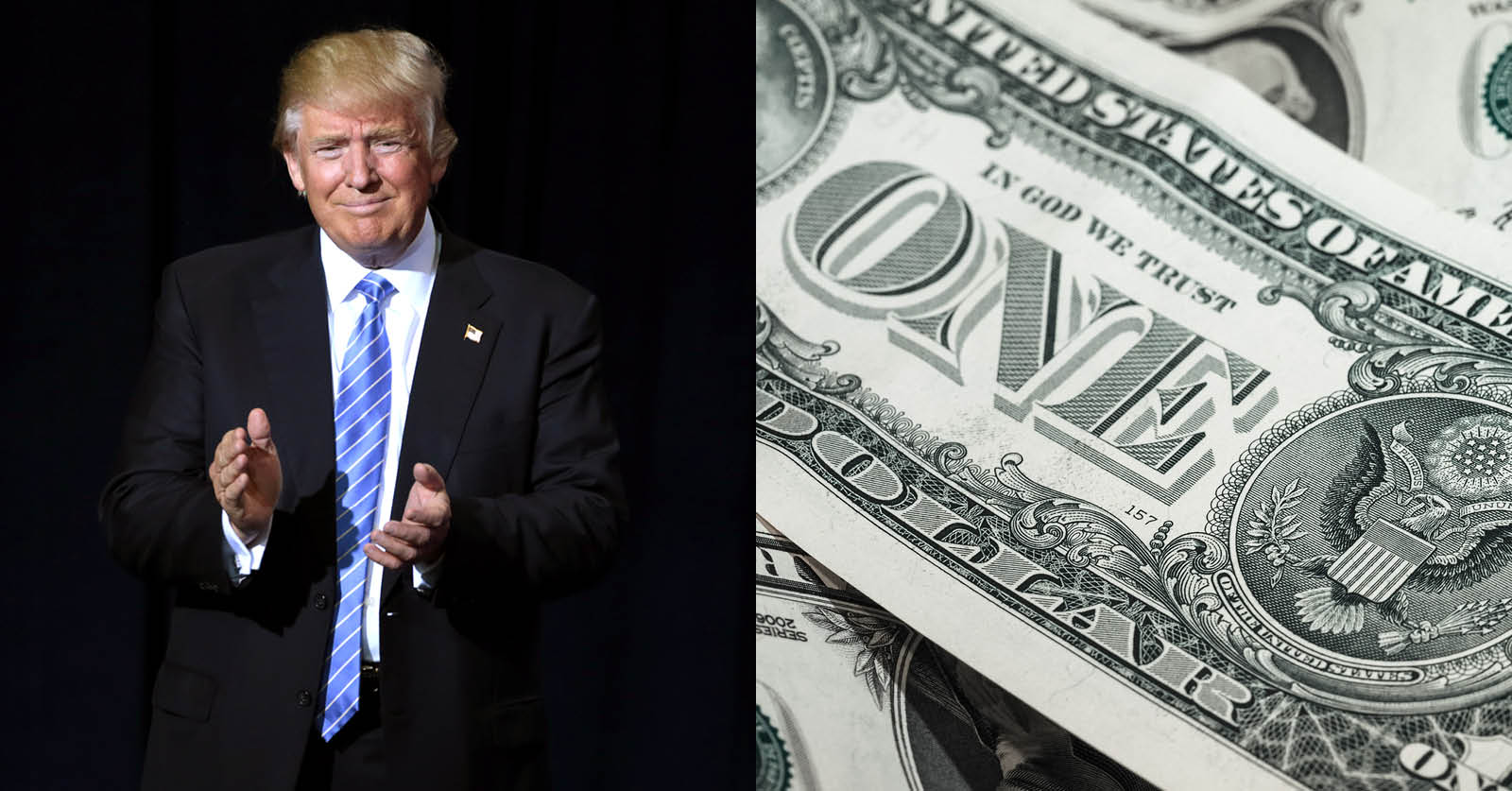 Bring Home the Bailout Bucks