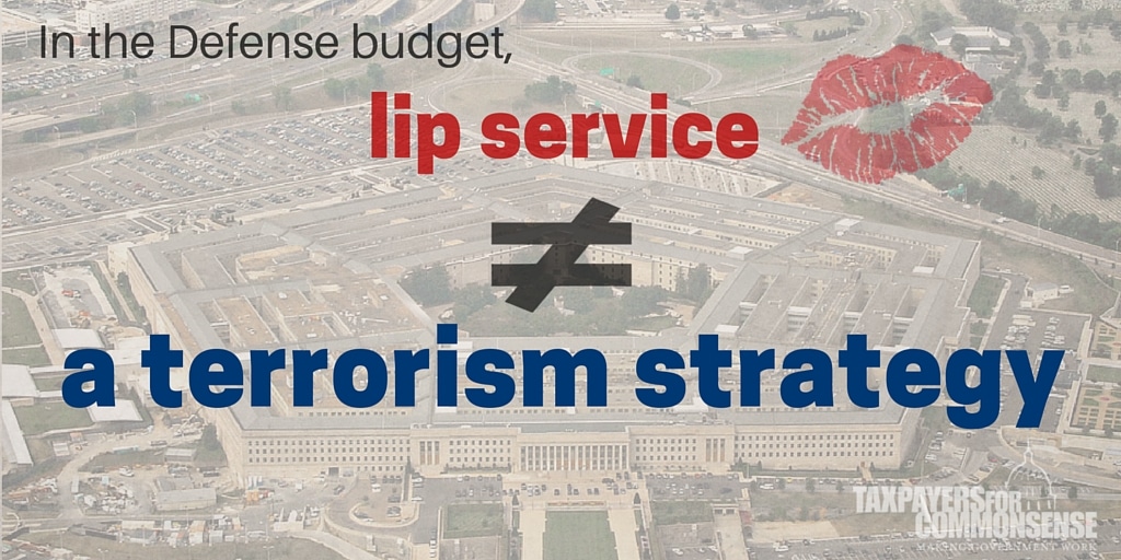 Budget Lip Service to Terrorism Strategy