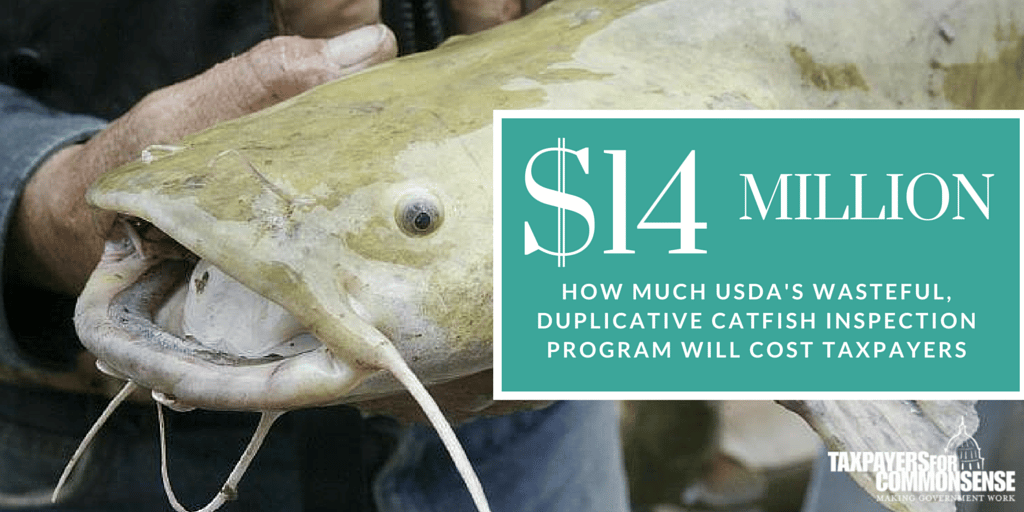 Cut Catfish to Land Savings