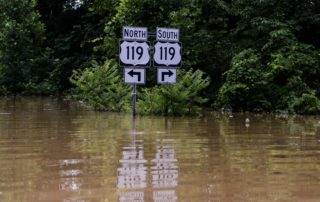 Ellis: After Flood