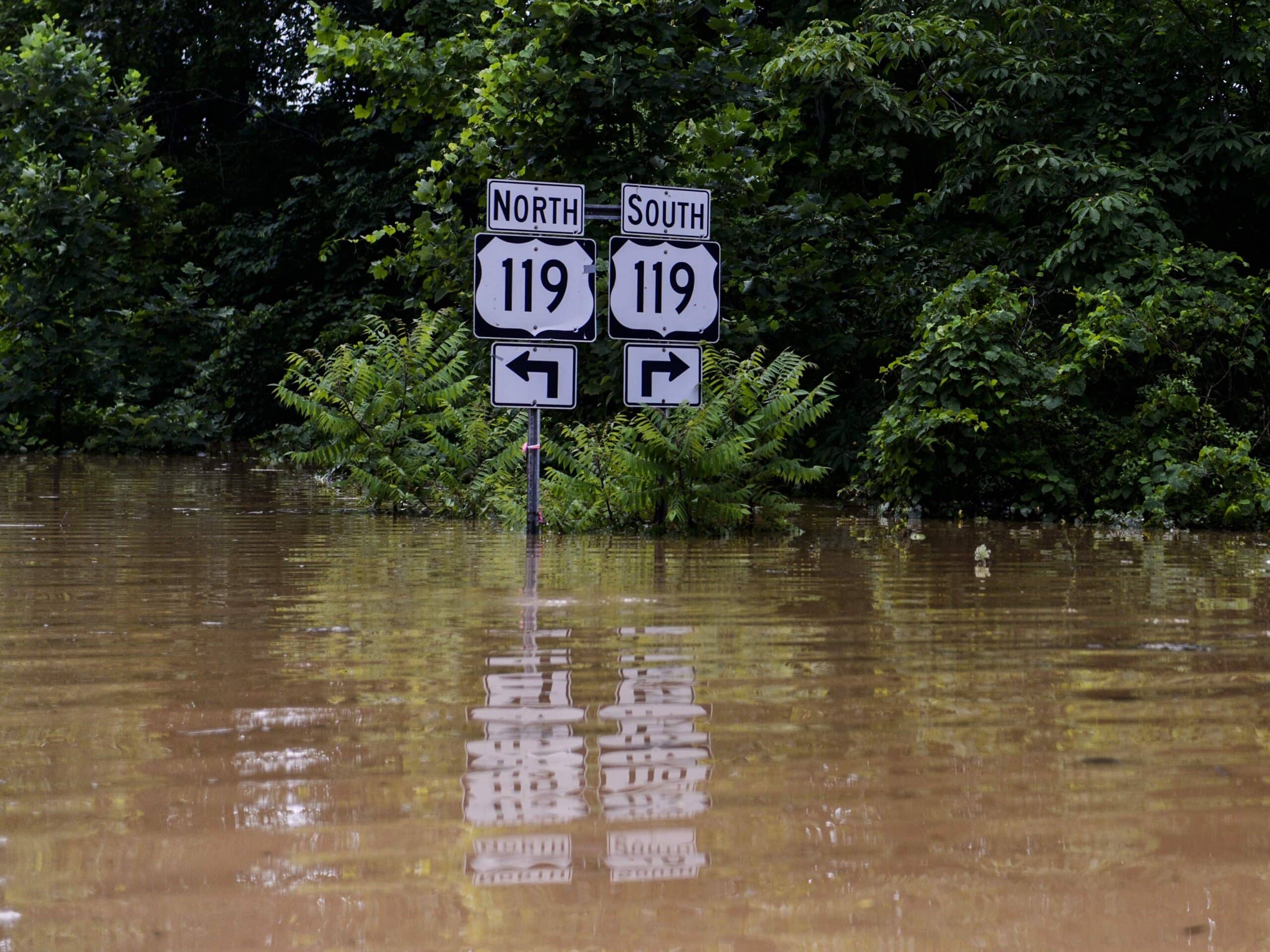 Ellis: After Flood