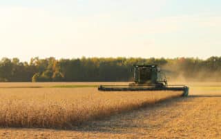 farm bill