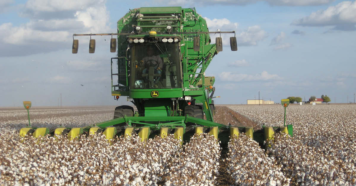 Fiscal Conservatives Identify Principles to Guide Farm Bill Reform