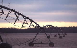 Recommendations for Creating an Accountable Farm Safety Net