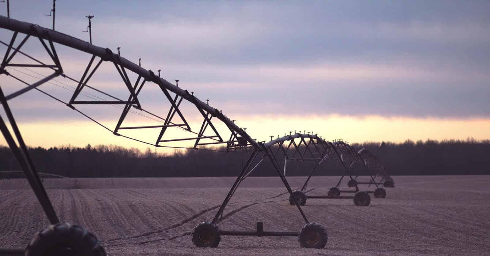 Recommendations for Creating an Accountable Farm Safety Net