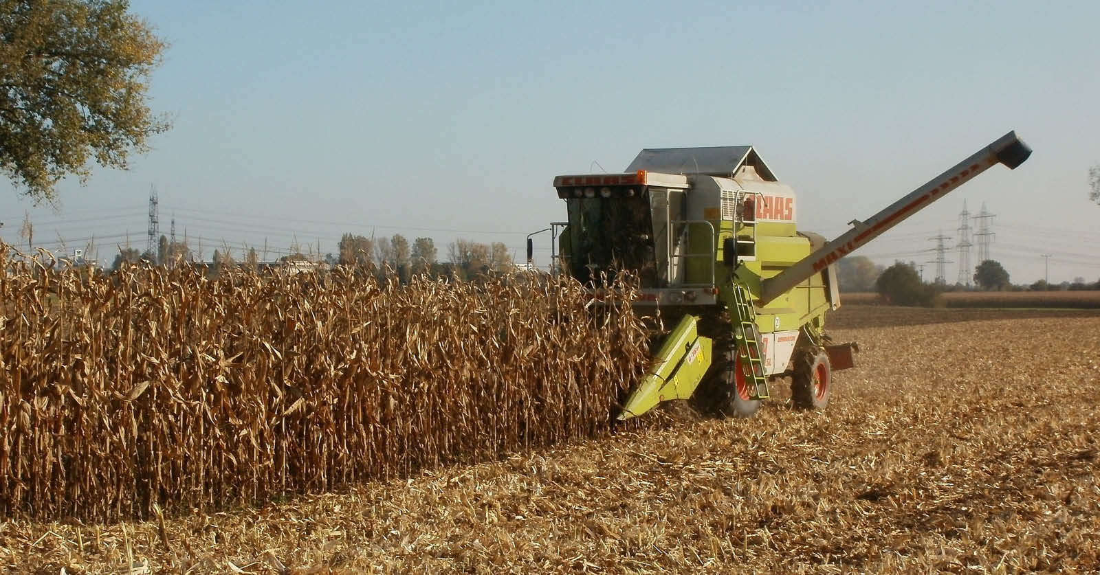 Rural Energy for America Program