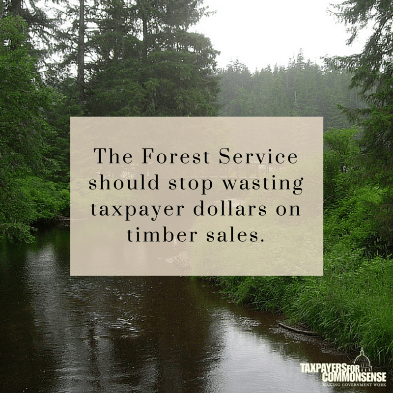 Taxpayers Continue to Lose from Timber Sales