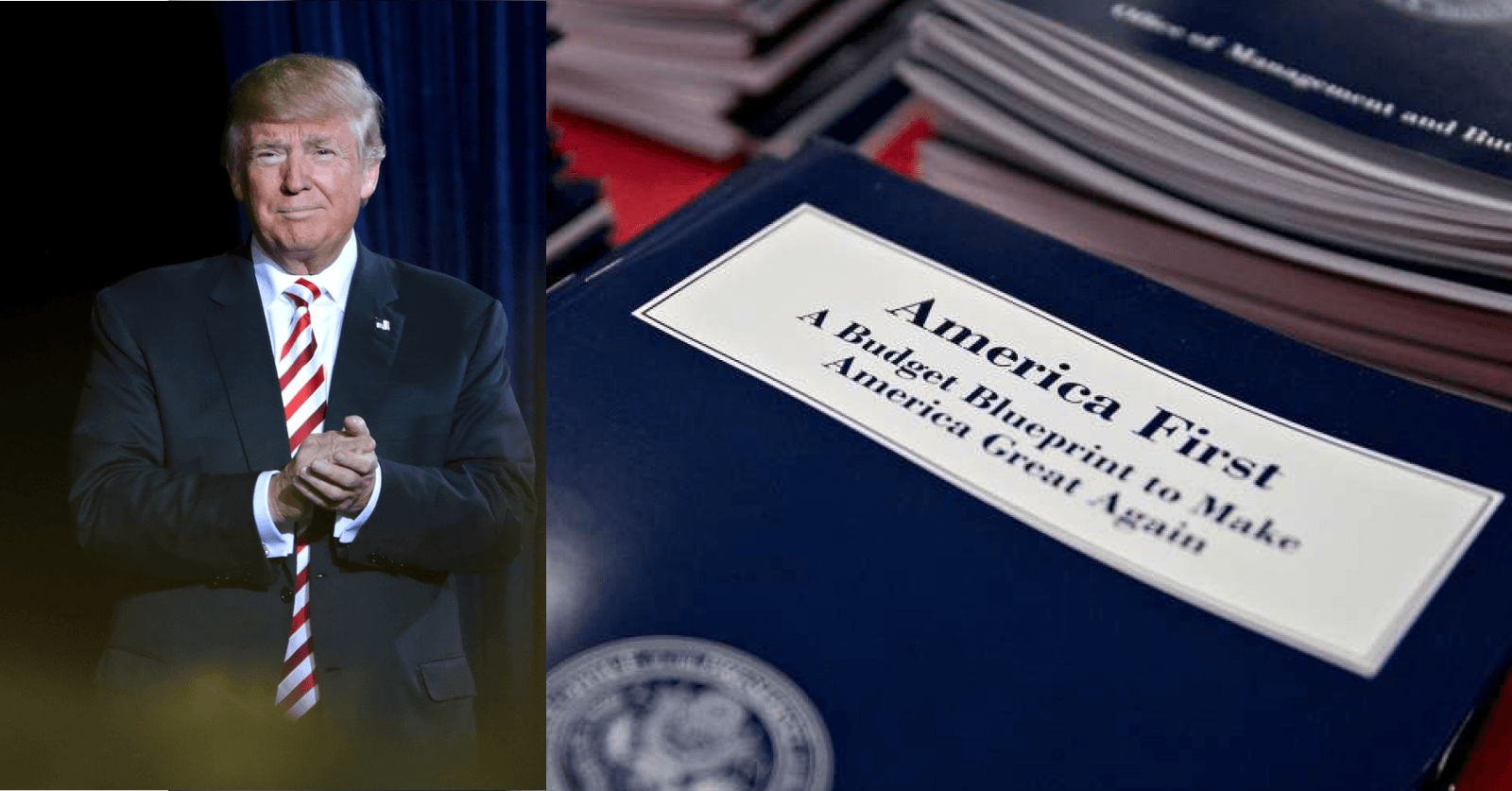 The President's FY2018 'Skinny Budget' Analysis