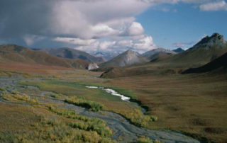 To Pay for Tax Cuts Congress Might Open Arctic Wildlife Refuge to Drilling4 1