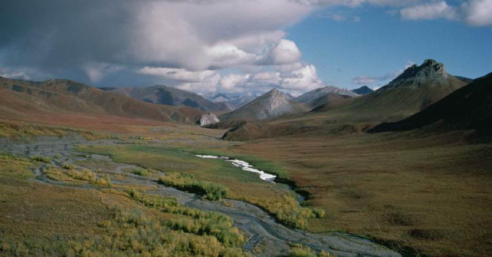 To Pay for Tax Cuts Congress Might Open Arctic Wildlife Refuge to Drilling4 1