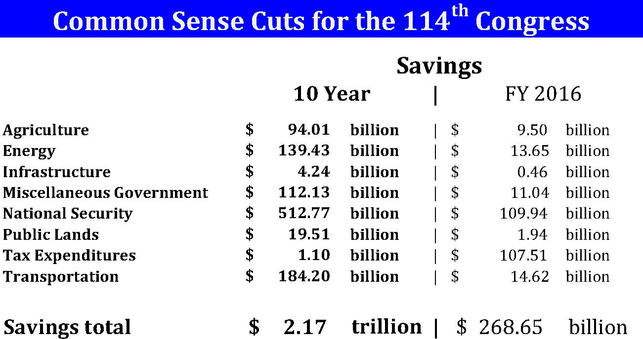 Common Sense Cuts for the 114th Congress