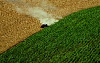 harvester harvesting corn
