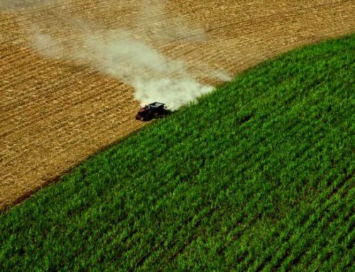 Rolling Analysis, President's FY22 Budget$7 Billion for Sky High Aviation Fuel Subsidies   Budget proposal supports new sustainable aviation fuel tax incentive 