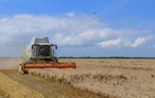 Farming for Cash Behind Closed Doors