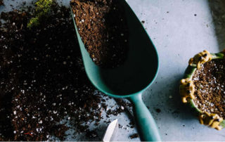 picture of a dirt-filled hand trowel