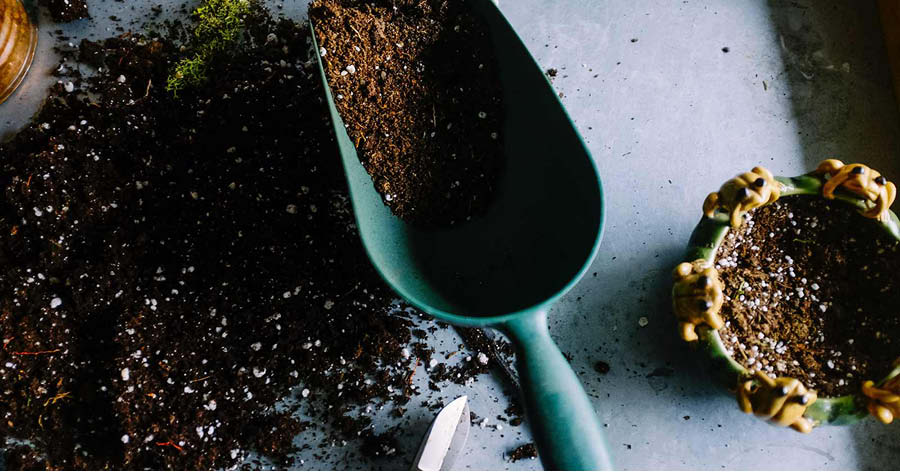 picture of a dirt-filled hand trowel