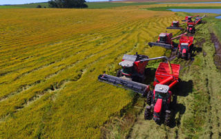 4 Common Sense Principles for a Better Agriculture Policy 1