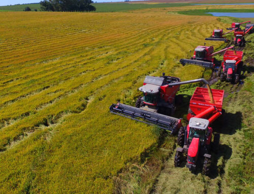 Weekly WastebasketTaxpayers Left Holding Bag for Ag DisastersAlphabet soup of duplicative programs already covers disaster losses