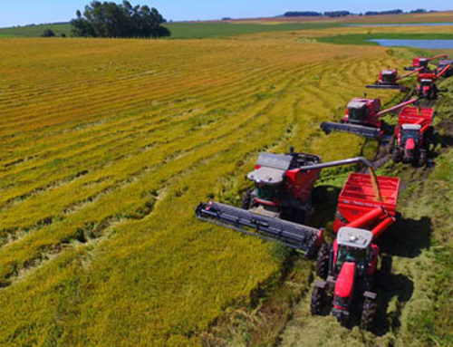 Rolling Analysis, President's FY22 BudgetBiden Breaks Tradition, Abandons Farm Safety Net ReformThe era of Big Government and Big Ag is back  
