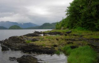 Tongass National Forest 4 e1519418594140