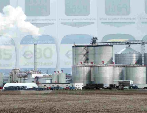 Weekly WastebasketLet Ethanol Subsidies Rest in PeaceResurrecting biofuels subsidies would harm the climate – and taxpayers