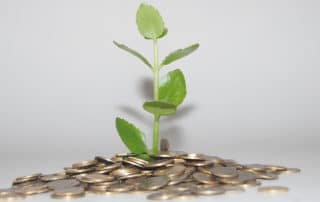 plant growing out of a pile of coins