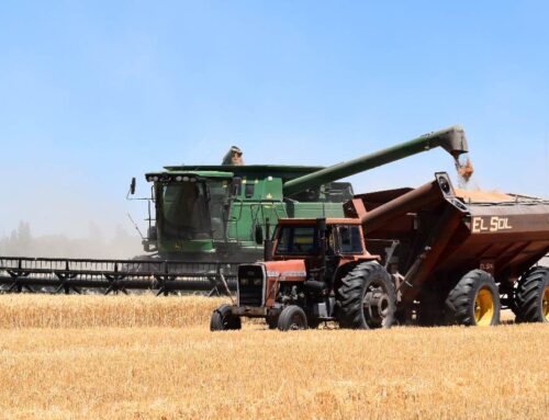 Federal Crop Insurance and Conservation