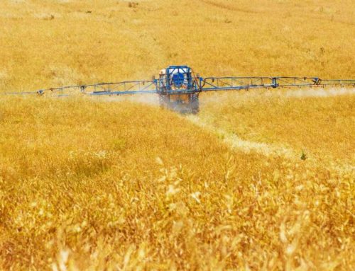 ReportPromoting Conservation within the Federal Crop Insurance ProgramReforming highly subsidized program to deliver environmental and taxpayer benefits