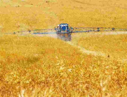 Fourth Time Not a Charm – No Farm Subsidy Reforms Proposed in Biden’s FY25 Budget
