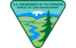 BLM logo