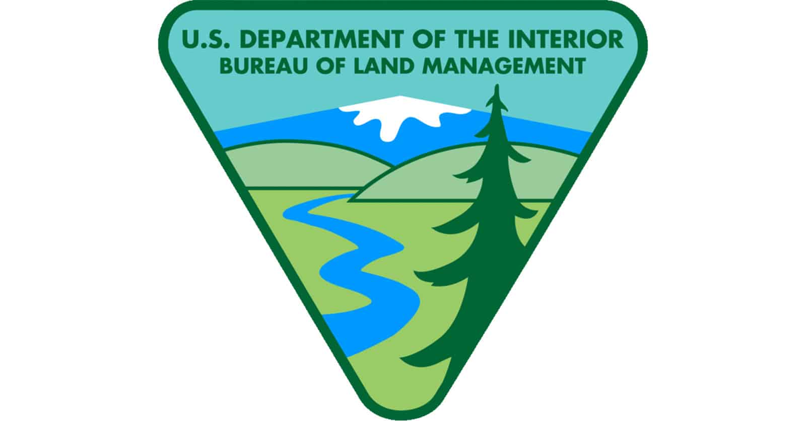 BLM logo