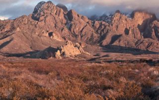 New Mexico Public Land