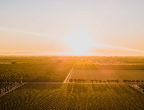 Agriculture SubsidiesUSDA projects government payments at historic levelsLawmakers must be more deliberate in their pandemic response 