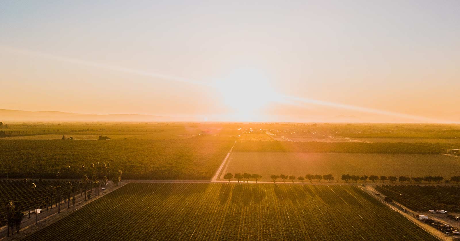 overhead view of a farm