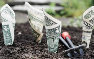 planting money