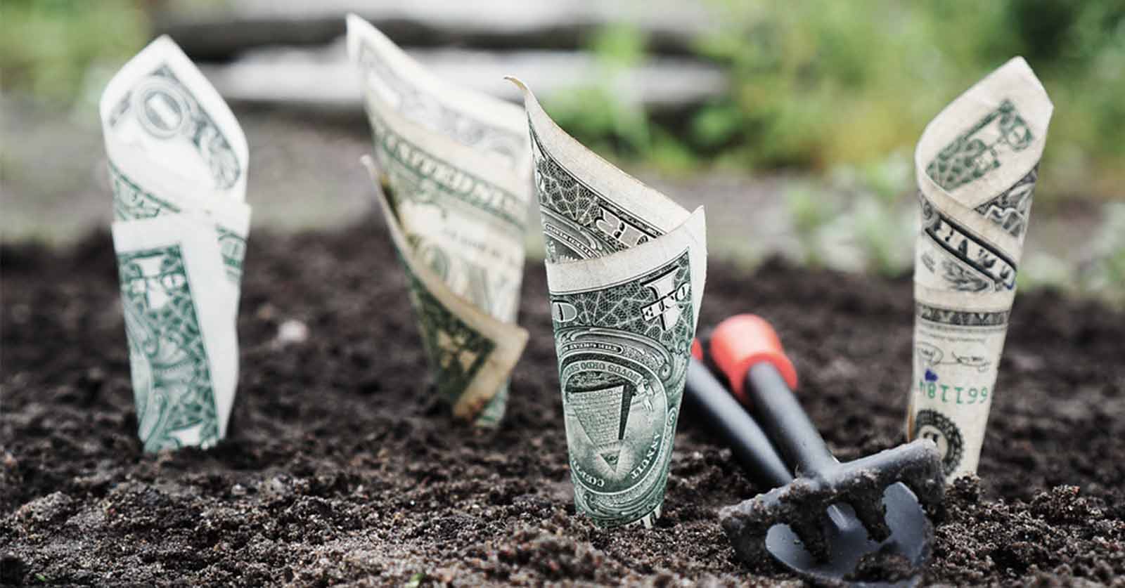 planting money