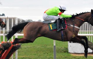 A Racehorse Galloping