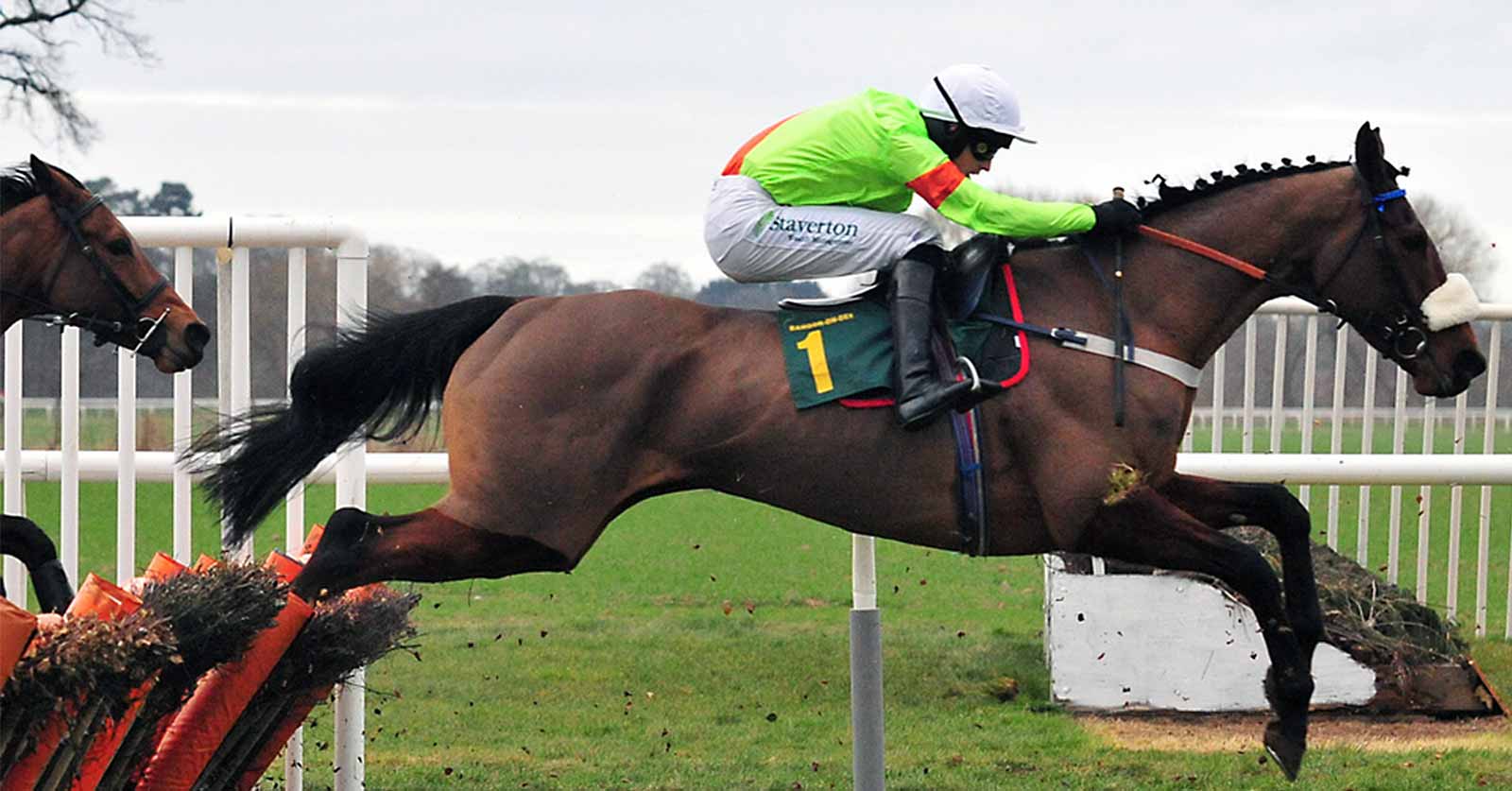 A Racehorse Galloping