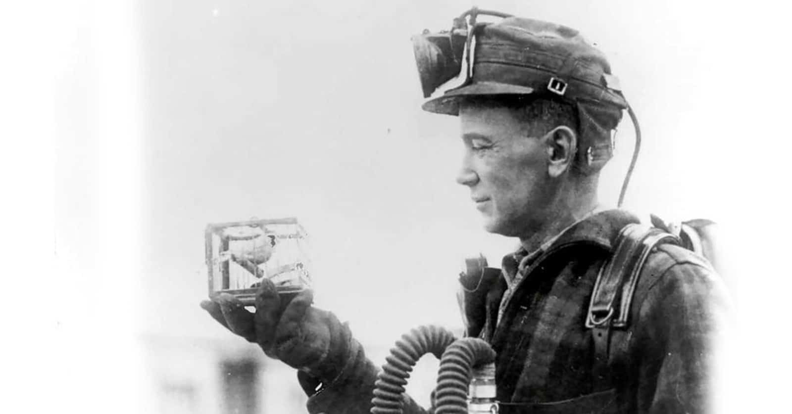 Old picture of a miner & a canary from USBM