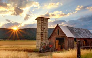 Farm