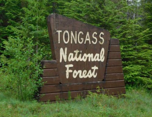 TCS Submits Comments to the US Forest Service on Central Tongass Timber Sale