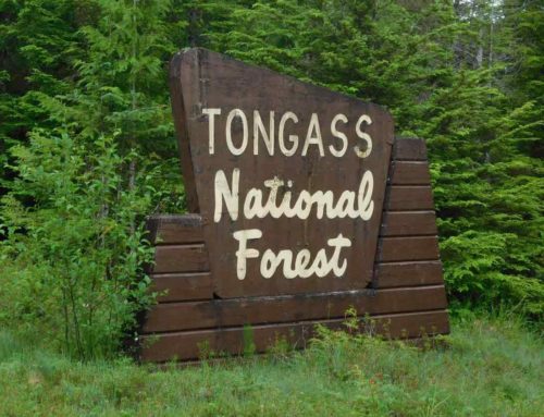 Juneau Independent: If Tongass logging is free enterprise, let it stand on its own