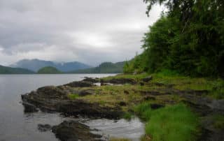 Tongass National Forest 4