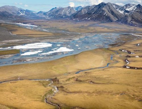 Interior Moves Forward With First New Arctic Refuge Lease Sale Plan