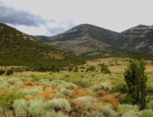 10,000 Acres in Nevada Leased for Oil & Gas at Legal Minimum of $10/Acre