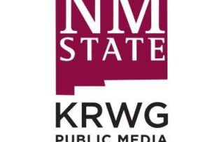 NM state small logo